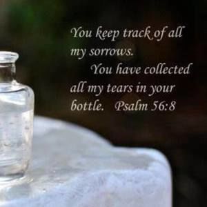 Meet your Posher, Jeleen